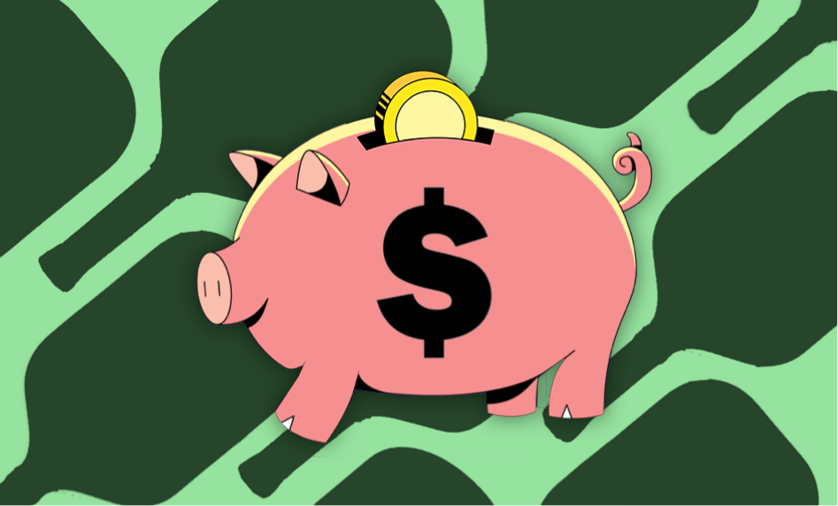 The best budget pickleball paddles