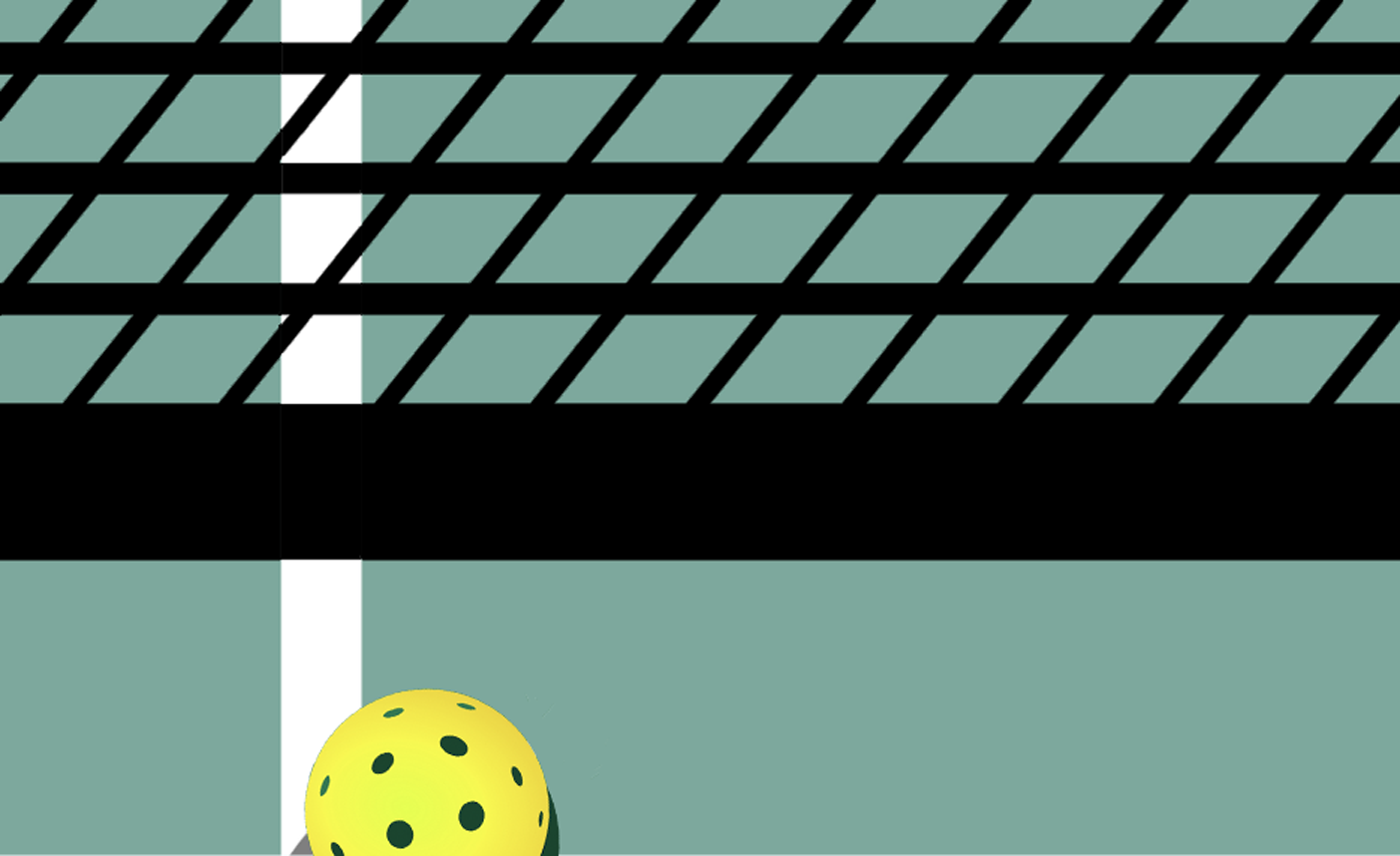 The best pickleball nets for every setting & price point